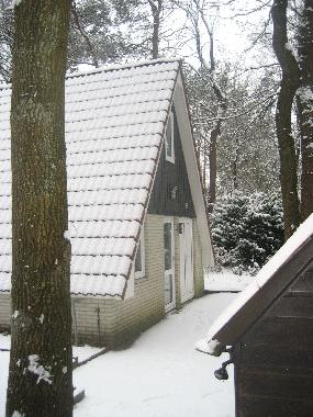 Holiday Apartment in Ommen (Overijssel) or holiday homes and vacation rentals