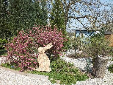 Holiday Apartment in KUHLENDORF (Bas-Rhin) or holiday homes and vacation rentals