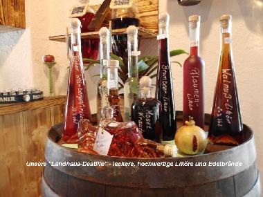 Bed and Breakfast in Morbach-Wederath (Hunsrck - Nahe) or holiday homes and vacation rentals