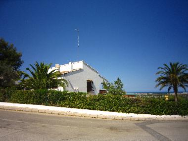 Villa in oliva (Valencia / Val�ncia) or holiday homes and vacation rentals