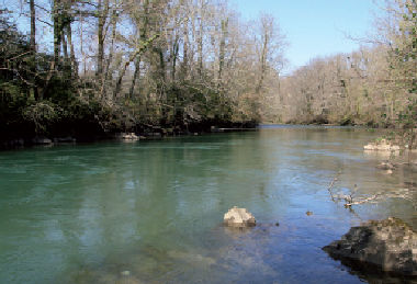 Holiday Apartment in herrre (Pyrnes-Atlantiques) or holiday homes and vacation rentals