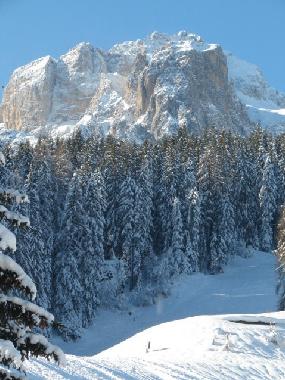 Holiday Apartment in Padola di cadore (Belluno) or holiday homes and vacation rentals