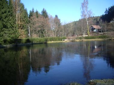 Chalet in LUTTENBACH (Haut-Rhin) or holiday homes and vacation rentals