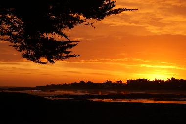 Holiday House in L'le-d'Yeu (Vende) or holiday homes and vacation rentals