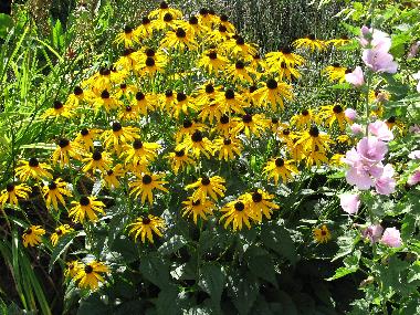 Holiday Apartment in KUHLENDORF (Bas-Rhin) or holiday homes and vacation rentals