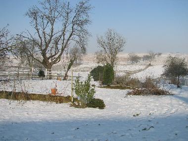 Holiday Apartment in KUHLENDORF (Bas-Rhin) or holiday homes and vacation rentals