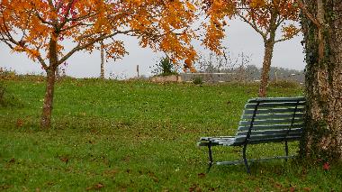 Villa in Tourtoirac (Dordogne) or holiday homes and vacation rentals