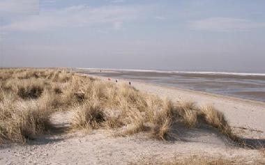 Holiday Apartment in Wangerland (Nordsee-Festland / Ostfriesland) or holiday homes and vacation rentals