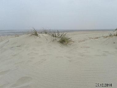 Holiday Apartment in Wangerland (Nordsee-Festland / Ostfriesland) or holiday homes and vacation rentals