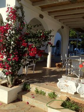 Villa in NEA MAKRI (Attiki) or holiday homes and vacation rentals