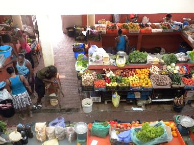 sal rei municipal market