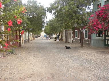 sal rei street