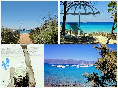Holiday Apartment in Santa Maria Poggio (Haute-Corse) or holiday homes and vacation rentals