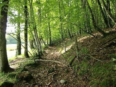 Chalet in Roum�goux (Cantal) or holiday homes and vacation rentals