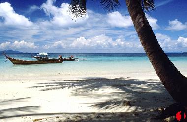 a tranquil beach setting