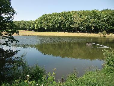 Holiday House in Le Rouget (Cantal) or holiday homes and vacation rentals