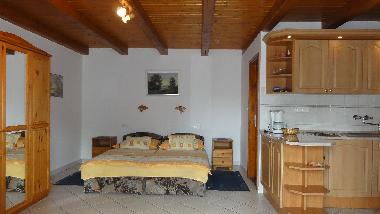 Holiday Apartment in Zalakaros (Zala) or holiday homes and vacation rentals