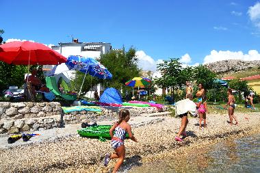 the beach