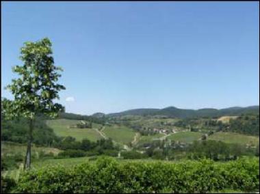 Holiday House in Greve in Chianti  (Firenze) or holiday homes and vacation rentals