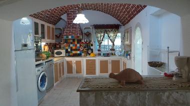 Holiday House in Nabul (Nabul) or holiday homes and vacation rentals