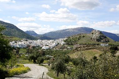 Views from the house