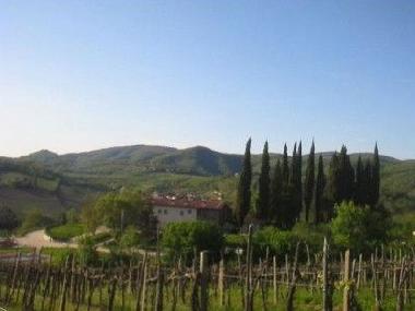 Holiday House in Greve in Chianti  (Firenze) or holiday homes and vacation rentals