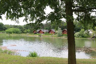 Chalet in Lochem (Gelderland) or holiday homes and vacation rentals