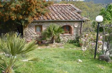 Holiday Apartment in Bicciano Talla (Arezzo) or holiday homes and vacation rentals