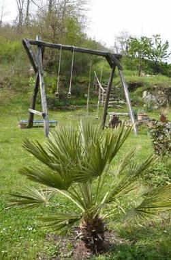 Holiday Apartment in Bicciano Talla (Arezzo) or holiday homes and vacation rentals