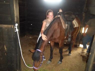 Holiday Apartment in Bicciano Talla (Arezzo) or holiday homes and vacation rentals