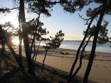 Holiday Apartment in Arcachon (Gironde) or holiday homes and vacation rentals