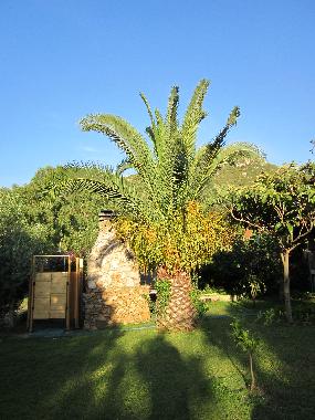 Villa in Torre delle Stelle (Cagliari) or holiday homes and vacation rentals