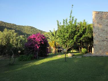 Villa in Torre delle Stelle (Cagliari) or holiday homes and vacation rentals