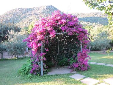 Villa in Torre delle Stelle (Cagliari) or holiday homes and vacation rentals