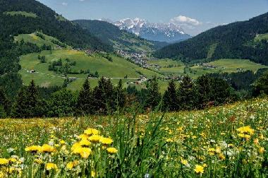 Holiday Apartment in Oberau Wildschoenau (Tiroler Unterland) or holiday homes and vacation rentals