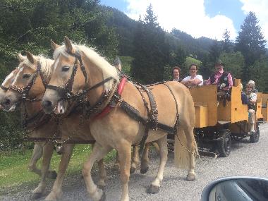 Holiday Apartment in Wildsch�nau (Tiroler Unterland) or holiday homes and vacation rentals