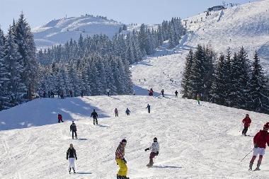 Holiday Apartment in Wildsch�nau (Tiroler Unterland) or holiday homes and vacation rentals
