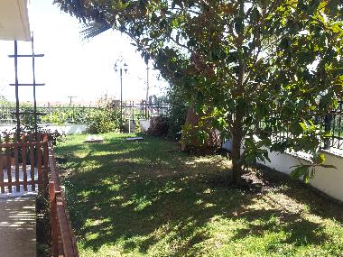 Holiday House in Kriopigi (Chalkidiki) or holiday homes and vacation rentals