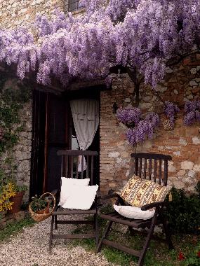 Villa in Narni (Terni) or holiday homes and vacation rentals