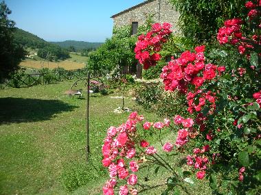 Villa in Narni (Terni) or holiday homes and vacation rentals