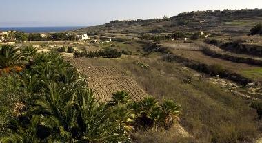 Villa in Ghasri (Gozo) or holiday homes and vacation rentals
