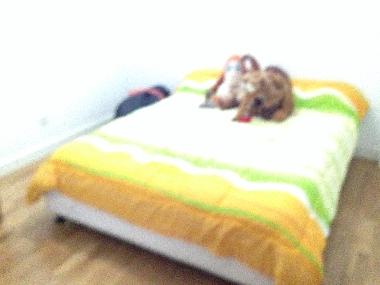 Holiday Apartment in Hostalric (Girona) or holiday homes and vacation rentals