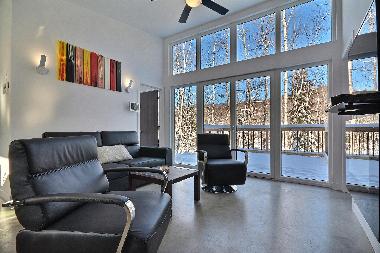 Chalet in la conception (Quebec) or holiday homes and vacation rentals