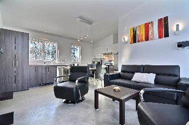 Chalet in la conception (Quebec) or holiday homes and vacation rentals