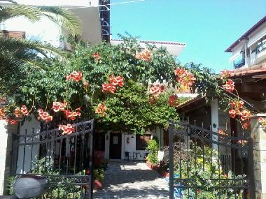 Holiday Apartment in HANIOTI HALKIDIKI (Chalkidiki) or holiday homes and vacation rentals