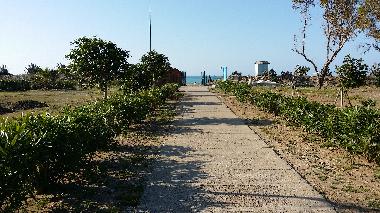 Holiday House in Campofelice di Roccella (Palermo) or holiday homes and vacation rentals