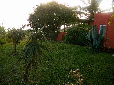 Holiday House in stromboli (Messina) or holiday homes and vacation rentals