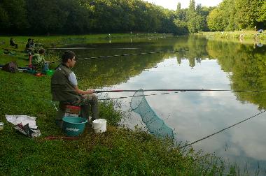 Holiday House in Castillon la Bataille (Gironde) or holiday homes and vacation rentals
