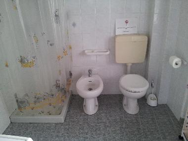toilet
