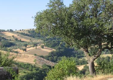 Holiday Apartment in Montebello di Bertona (Pescara) or holiday homes and vacation rentals